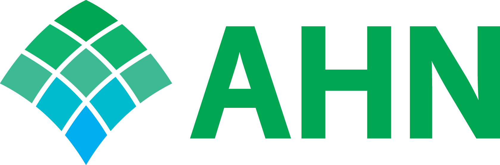 AHN logo